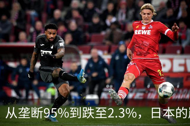从垄断95%到跌至2.3%，日本的崩溃循环，中国亲手按下终止键