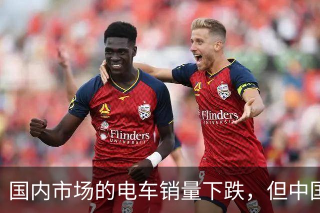 国内市场的电车销量下跌，但中国车圈新恒大可能先在海外爆发