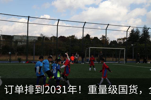 订单排到2031年！重量级国货，全球爆单