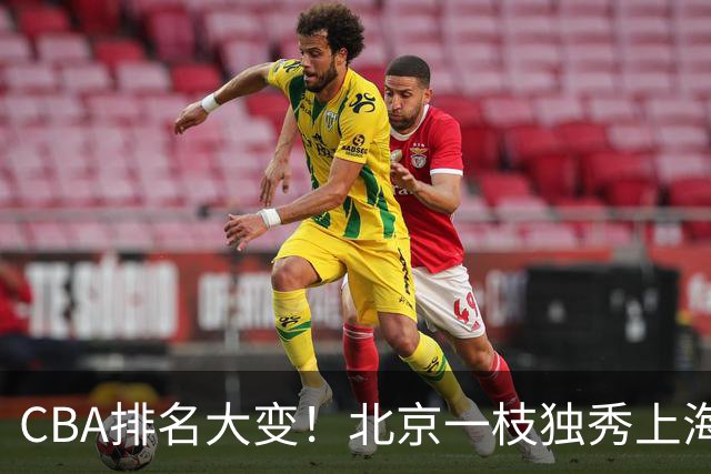 CBA排名大变！北京一枝独秀上海第3，辽宁第4广东第15，新疆连败宁波一胜难求